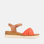 Corail